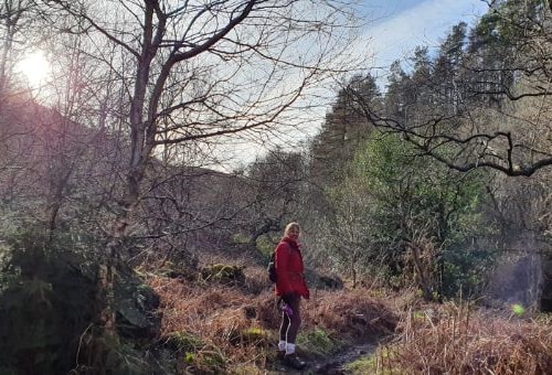 Woman walking amongst trees